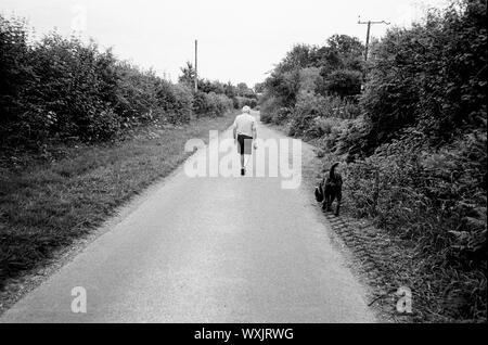 Passeggiate con il cane Hattingley, Medatead, Alton, HAMPSHIRE. Foto Stock