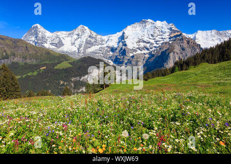 Le montagne Eiger (3967 m), Moench (4107 m) e Jungfrau (4158 m). Alpi bernesi, Svizzera Foto Stock