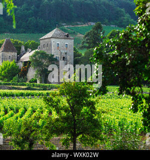 Vista sui vigneti di Gevrey Chambertin, Francia Foto Stock