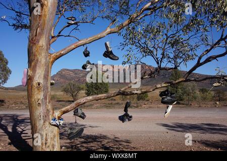 In primo piano di una stravagante Struttura di pattino con la Flinders Ranges come sfondo Foto Stock