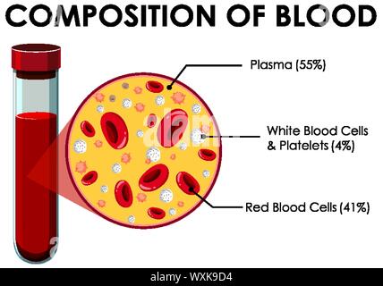Diagramma che mostra la composizione di illustrazione del sangue Illustrazione Vettoriale