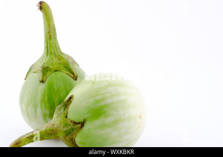 Due scarafaggio Berry isolati su sfondo bianco Foto Stock