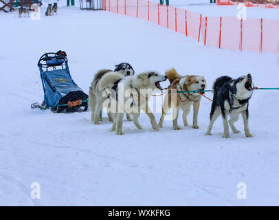 Sled utilizzato su niente uomo ghiacciaio per cane sledders Foto Stock