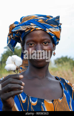 MALI , Bougouni , donne harvest fair trade in cotone organico / MALI , Bougouni, commercio equo und Biobaumwolle Projekt - Baumwollernte Frau Minata Samaké 31 Jahre aus Dorf Faragouaran Foto Stock