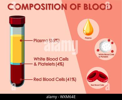 Diagramma che mostra la composizione di illustrazione del sangue Illustrazione Vettoriale