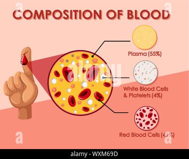 Diagramma che illustra la composizione delle cellule di sangue illustrazione Illustrazione Vettoriale