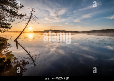Bellissima alba paesaggio con albero la riflessione e la calma del lago alla nebbiosa mattina d'estate in Finlandia Foto Stock