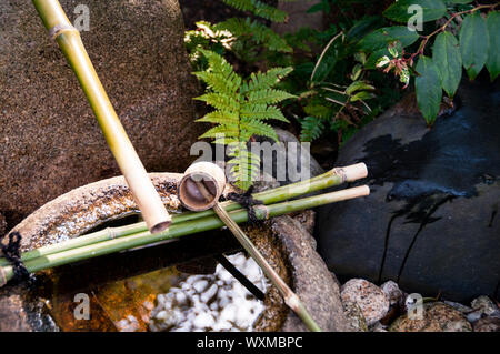 Riflessi in un bacino di pietra da una fontana di bambù giapponese in una cantina di sake a Osaka, in Giappone. Foto Stock