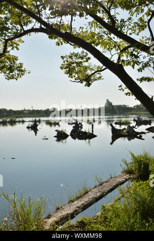 Laghetto di registro, girato a Luodong cultura forestale giardino, Yilan county Foto Stock