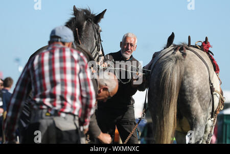 Stephen Payne, Edward Allen e Les Hanbridge dalla Glen of Imaal in Co Wicklow a livello nazionale dei Campionati di aratura in Carlow, Irlanda. Foto Stock