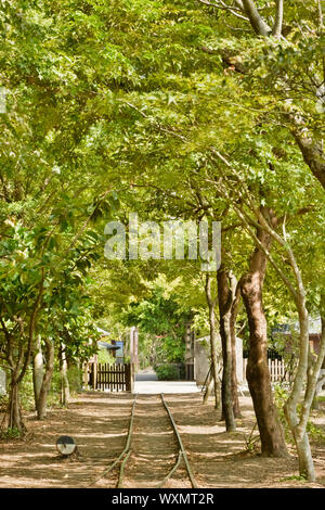 Foresta con la ferrovia, un colpo a Luodong cultura forestale giardino, Yilan, Taiwan, Asia. Foto Stock