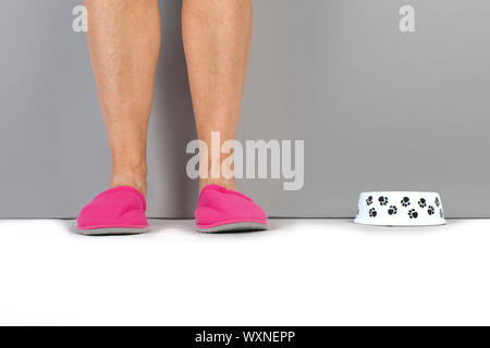 In mattina presto alimentando il gatto o cane Foto Stock