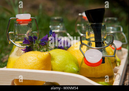 Rendendo fatta in casa limone Limonata in bottigliette Foto Stock