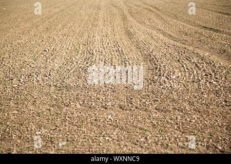 Campo marrone vicino alla città di Valladolid in Spagna Foto Stock