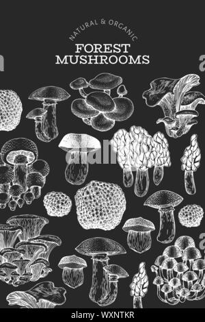 Mushroom Design modello. Disegnato a mano il cibo del vettore illustrazione a Chalk board. Stile inciso. Funghi retrò tipi diversi background. Illustrazione Vettoriale
