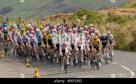 Peleton, OVO Tour della Gran Bretagna 2019, bike race stadio 8, Saddleworth, Oldham, Lancashire, Manchester Foto Stock