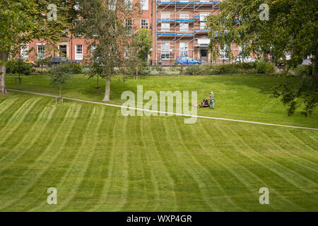 Un giardiniere in Piazza Winckley, Preston, Lancashire, Regno Unito mows l'erba con una grande tosaerba in una calda giornata estiva Foto Stock