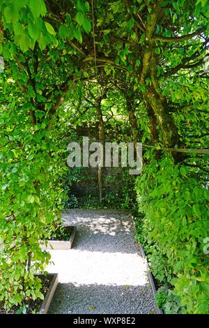 YVOIRE, Francia -27 Giu 2019- Vista del Jardin des Cinq Sens (cinque sensi giardino) nel borgo medievale di Yvoire sulle rive del Lago di Ginevra in ha Foto Stock