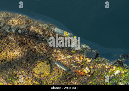 Di plastica, bottiglie, polistirene e micro plastiche in acqua di fiume Foto Stock