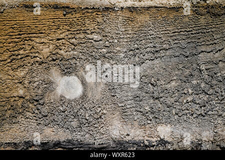 Macchia di sale su tavole di legno, la scheda texture. Foto Stock