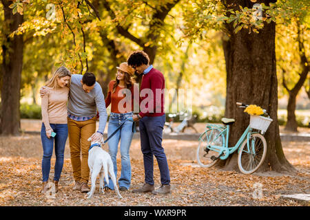 Gruppo di multirazziale giovani passeggiate nel parco di autunno e divertirsi Foto Stock