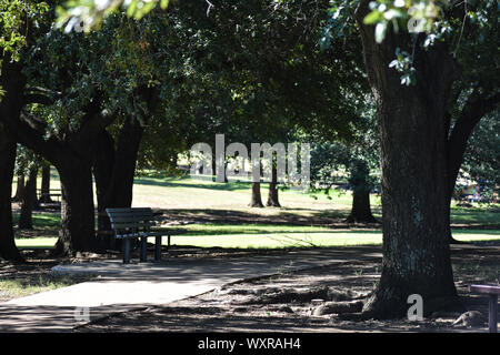 Park Trail con una panchina nel parco Foto Stock