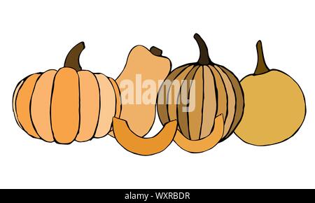 Vector disegnati a mano zucche arancione set. Schizzo di vegetali da giardino di diverse dimensioni. Doodle illustrazione stagionale del raccolto autunnale di raccolta. Isolato Illustrazione Vettoriale