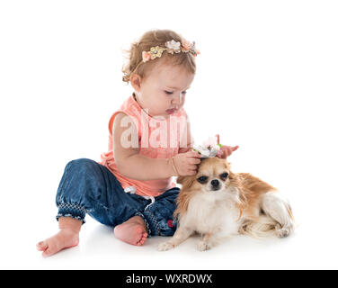 Bambino e cane in font di sfondo bianco Foto Stock