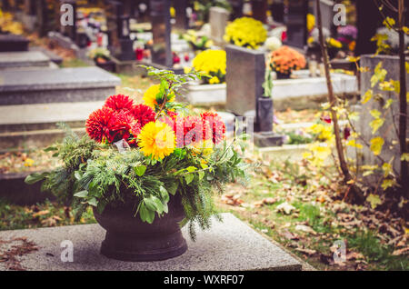 Lapidi funerarie decorate con colorati crisantemo stagionali fiori nel cimitero durante il religioso cristiano tradizionale evento autunnale Foto Stock