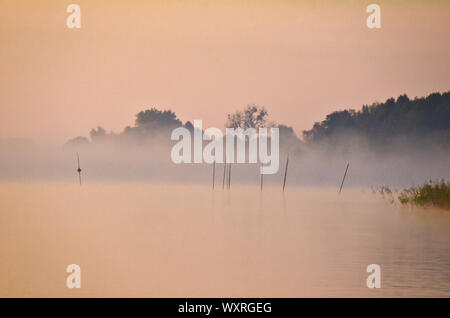 La mattina presto luce con polvere di pastello in rosa sulla riva di un lago Foto Stock