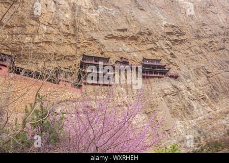 Editoriale: DATONG, Shanxi, Cina, 8 Aprile 2019 - vivacemente colorati fiori di ciliegio davanti al tempio appeso nei pressi di Datong Foto Stock
