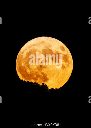 Harvest Full Moon Rising su montagne rocciose; Venerdì 13th; Salida; Colorado; USA Foto Stock