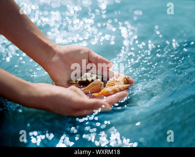 Mani di conchiglie in acqua Foto Stock
