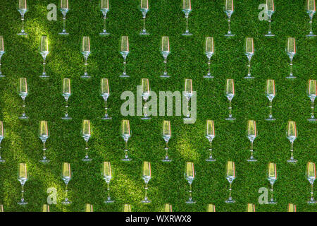 La configurazione di sfondo pulito di spumante flauti disposti ordinatamente in fila su di uno sfondo di foglie verdi in una piena vista del telaio Foto Stock