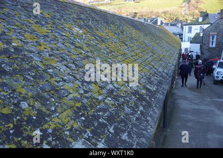 Tetto in ardesia a Port Isaac Cornovaglia Foto Stock