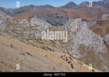 Pack muli sul sentiero sulla Cordillera Huayhuash circuito, Ancash, Perù Foto Stock