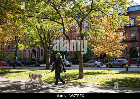 Donna che cammina il suo cane nel Commonwealth Avenue Mall a Boston negli Stati Uniti Foto Stock