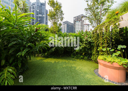 Giardino sul tetto, piantato con diversi tipi di piante per offrire al pubblico un'esperienza verde nell'area urbana. Design Orchard, Singapore Foto Stock