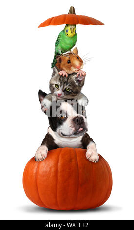 Halloween animali domestici in una zucca come un gruppo verticale di animali domestici come cani gatti e uccelli hamster seduto su una zucca arancione con 3D'illustrazione degli elementi. Foto Stock