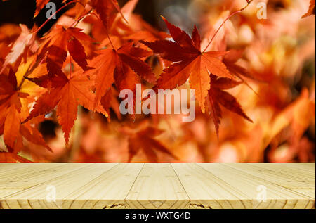 In prospettiva il contatore di legno con il Giapponese acero giardino in autunno. Foto Stock