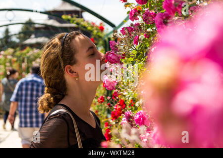 Ragazza adolescente che profumava rose rosa nel giardino restaurato rosa della contessa Margit Cziráky, originariamente costruito nel 1908 a Fertőd, Ungheria Foto Stock