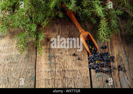 Il cucchiaio di legno con semi di ginepro. Ramo di ginepro con frutti di bosco su un sfondo di legno. Foto Stock