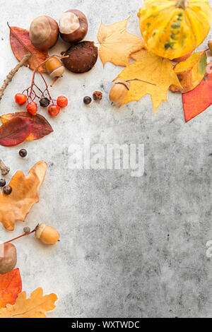 Natura, stagione e concetto di botanica - telaio di diversi caduti a secco le foglie di autunno, castagne, ghiande e bacche sulla pietra grigia sullo sfondo Foto Stock