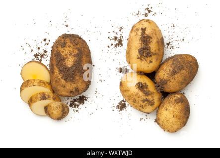 Freschi patate organici isolati su sfondo bianco. Vista superiore, laici piatta Foto Stock