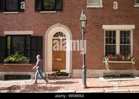 La donna a piedi un cane in W. Cedar Street in Beacon Hill, quartiere storico di Boston, Massachusetts, STATI UNITI D'AMERICA Foto Stock