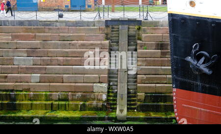 Il muschio cresce su scale di calcestruzzo nel bacino di carenaggio di Belfast Foto Stock