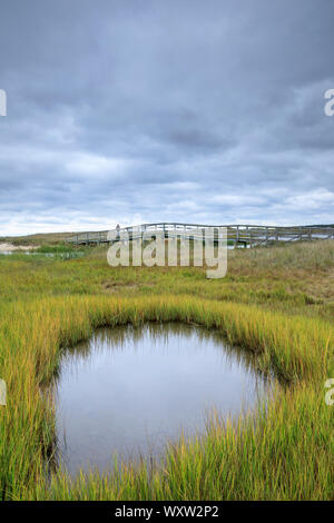 Lone persona sulla passerella di legno la passerella a Ridgevale Beach, Nantucket Sound, Cape Cod, New England, STATI UNITI D'AMERICA Foto Stock