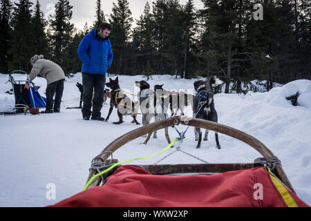 POV immagine della slitta trainata da cani ride in Norvegia in inverno Foto Stock