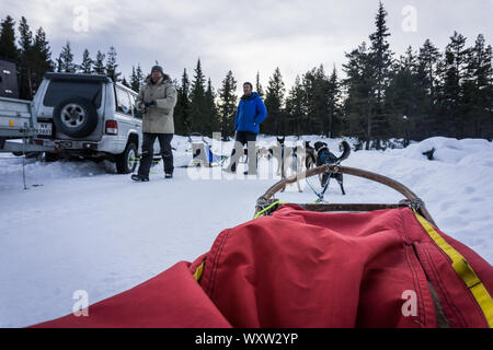 POV immagine della slitta trainata da cani ride in Norvegia in inverno Foto Stock