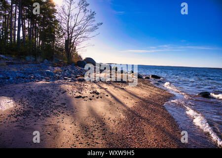 La luce del sole ed ombra in inverno sulla spiaggia sulla isola di Sandhamn nell'arcipelago di Stoccolma, Svezia Foto Stock